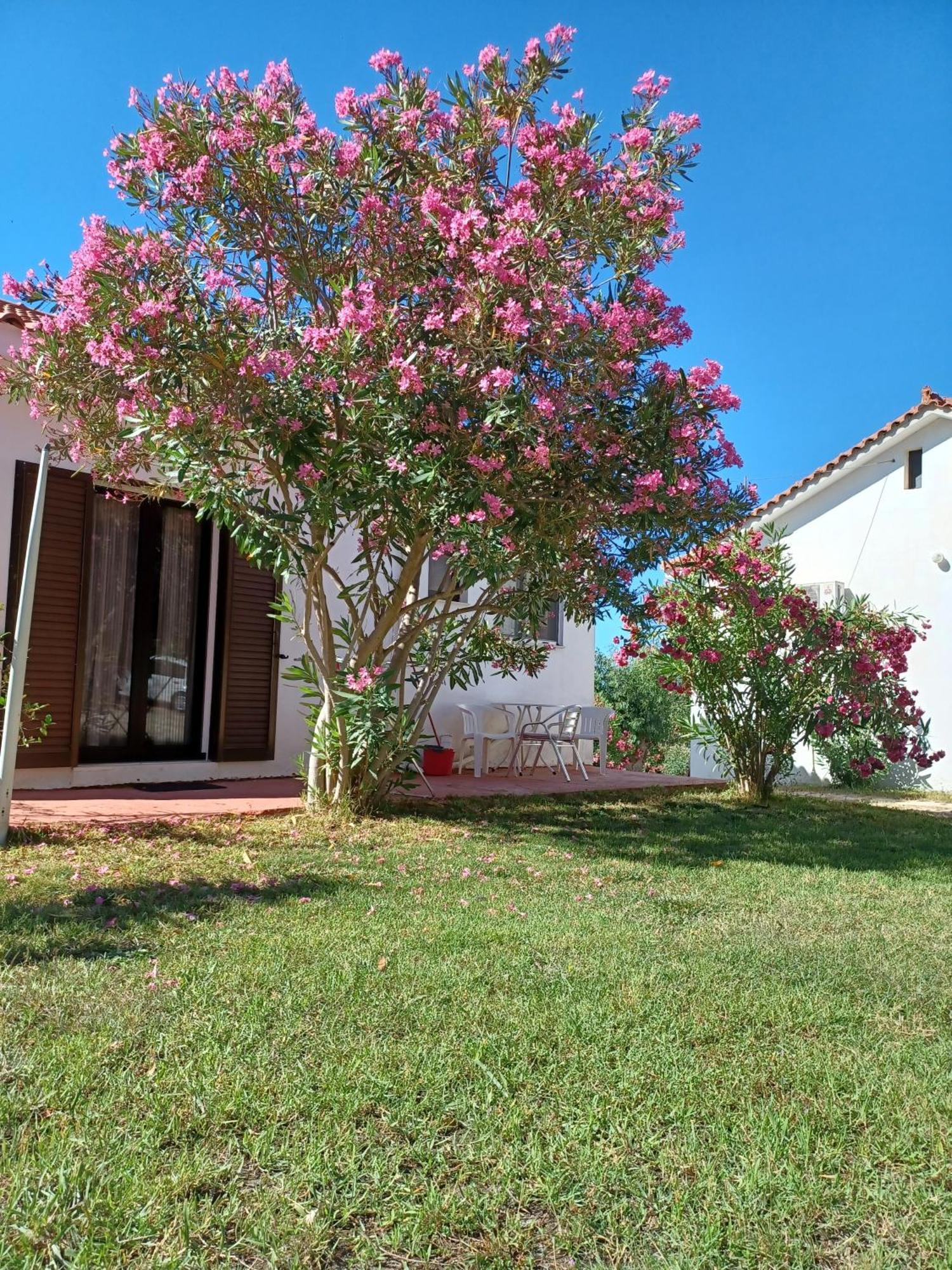 Nerissa Bungalow 2, Two Bedroom House With Sea View Spartia  Zewnętrze zdjęcie